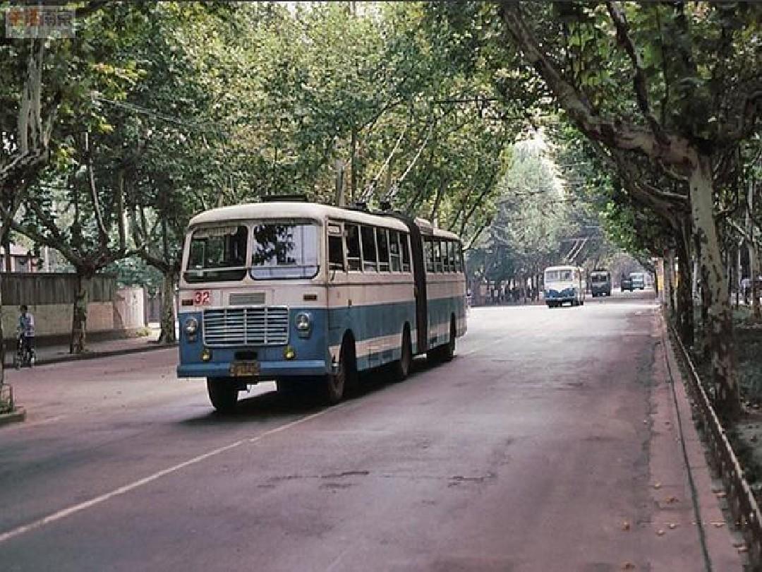 三毛流浪记原版,三毛的流浪记照片
