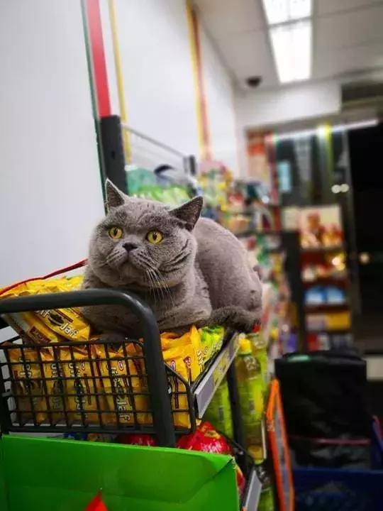 香港这家便利店的店长,靠着腮帮子走红了