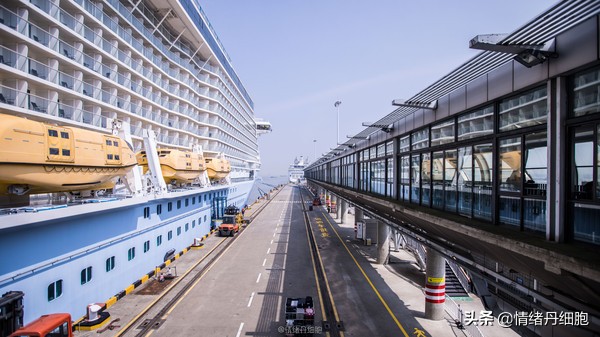 邮轮游选择哪个游轮好,邮轮旅游全攻略公主号