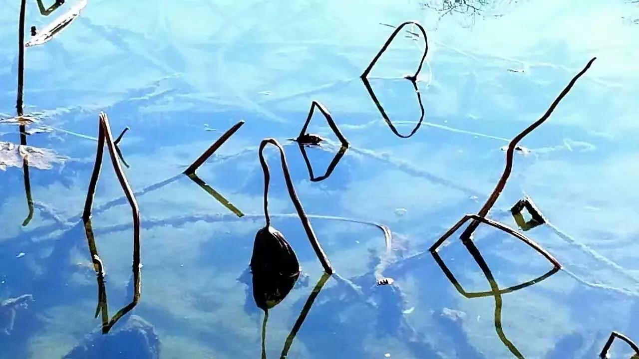 我爱摄影随笔,我爱摄影第四期