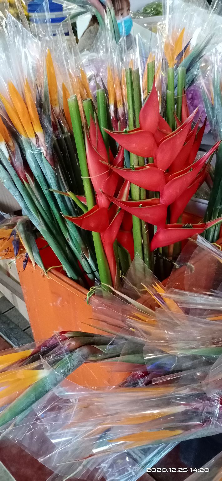 花都区岭南花卉批发市场在哪里,广州岭南花卉市场批发攻略