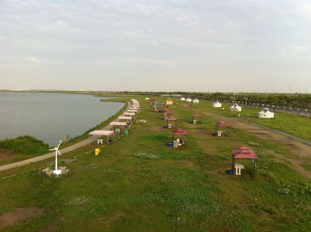 上海临港发展得起来吗,临港区的近年发展