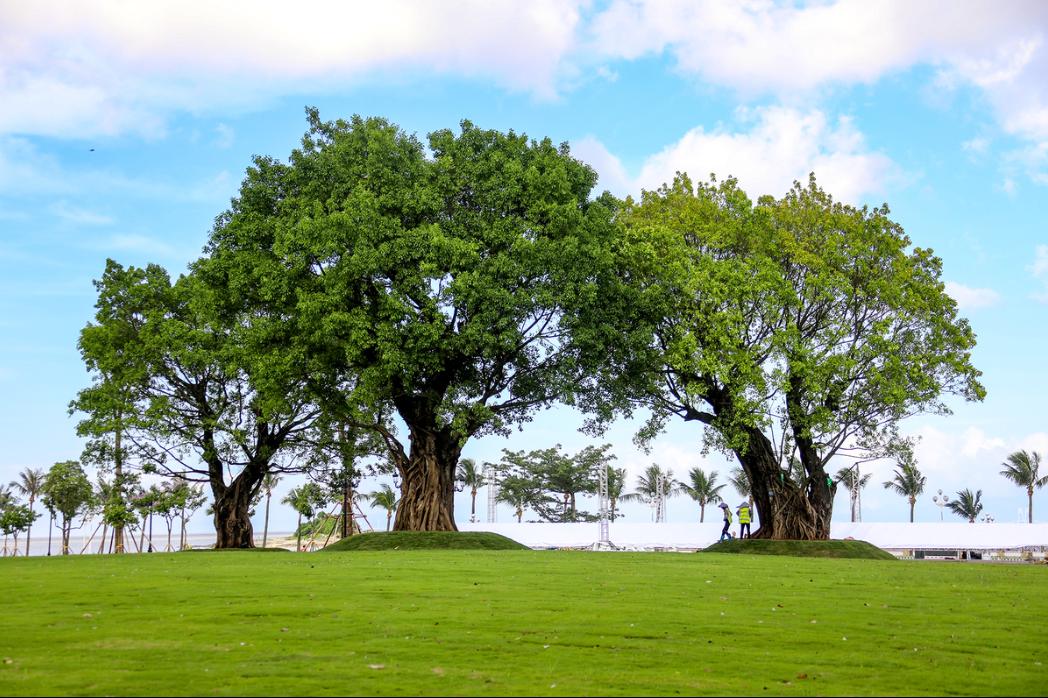 珠海买房过冬真实感受,在珠海买房十大秘诀