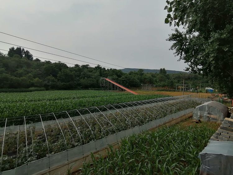 国家级传统村落千年古村,洛阳土古洞村落