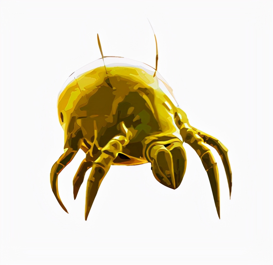 中医怎么对付尘螨过敏,防尘螨过敏方法