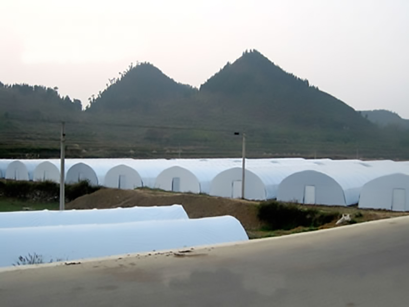 农村小伙白手起家挣千万,返乡种药材致富故事