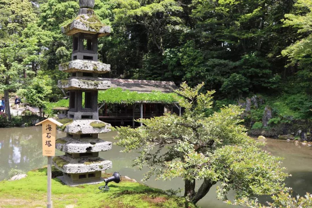 从名古屋到大阪新干线,去日本大阪东京名古屋