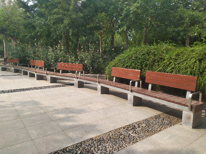 东环公园冬季图片,东环公园景点的介绍