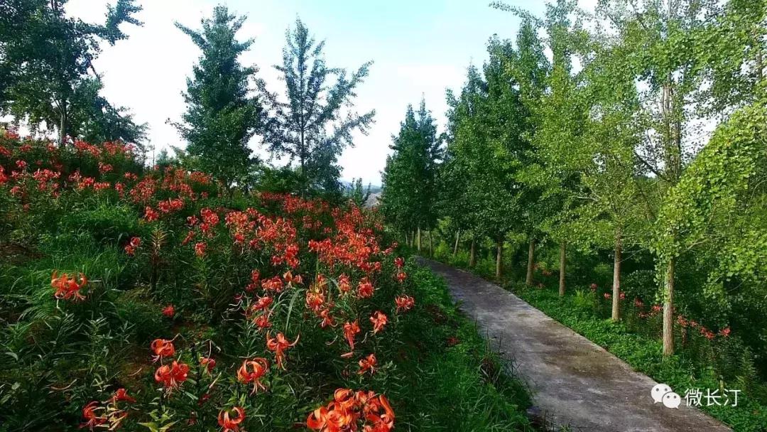 城建频道丨福建长汀发生“蝶变”的背后：用绿色赶跑贫穷廖深洪接受央广国际在线专访……