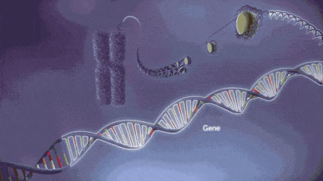 基因检测对癌症治疗有什么作用,基因检测与疾病的关系