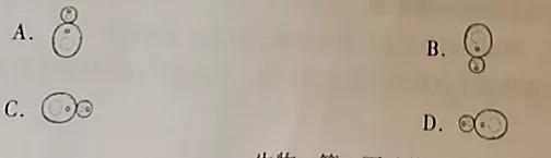 初中生物学业水平考试电子版,初中生物学业水平考试质量分析