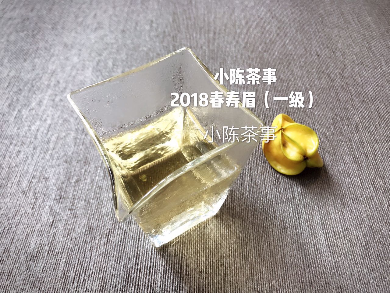 白茶新手入手攻略,白茶入门