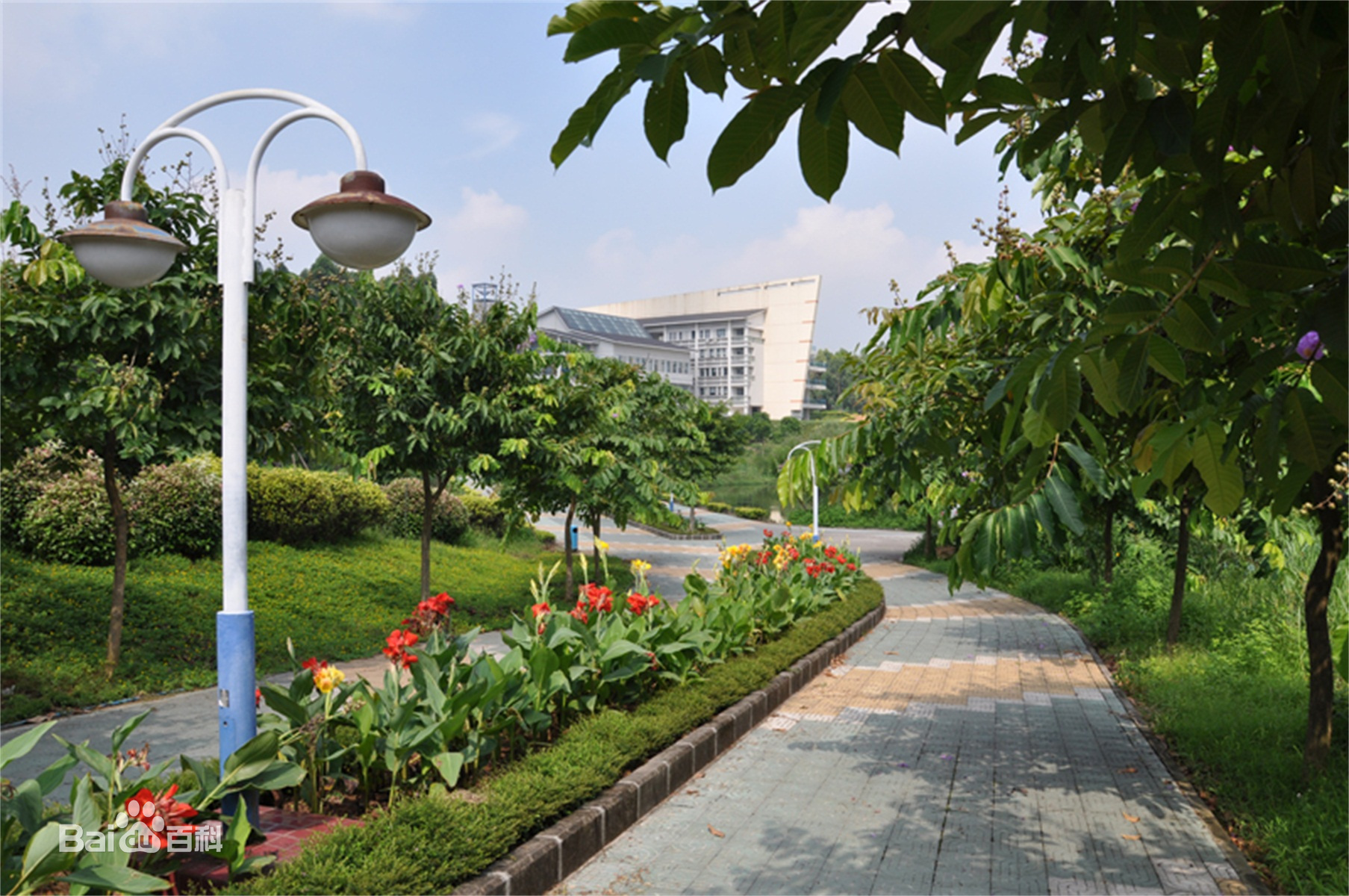 广东轻工职业技术学院升本,广东轻工职业技术学院的专业