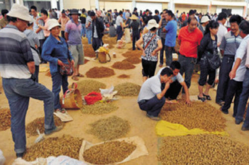 金不换骗局大揭秘,金不换新编戏被群众赶下台