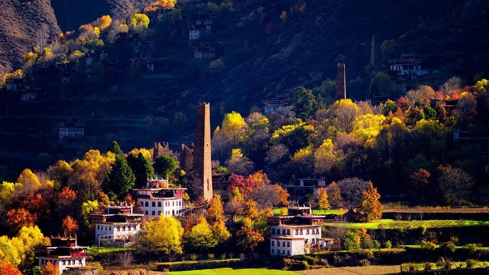 1011月错过它们，等于错过整个秋天！人少清净，随手一拍都是大片