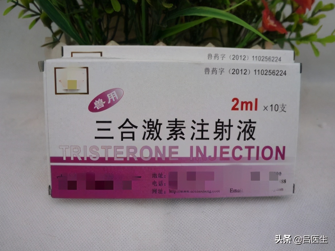 人吃了母猪性激素有作用吗,人吃了母猪激素什么反应