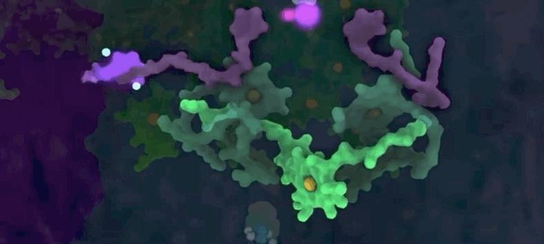 光合作用是什么具体过程,光合作用儿童科普