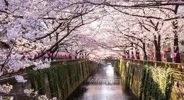 英国航空2018,英国航空全攻略