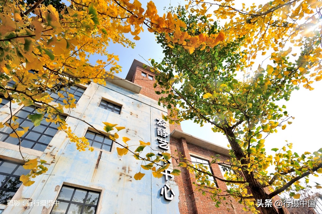 沈阳铁西区工厂搬迁,沈阳冶炼厂搬迁新闻