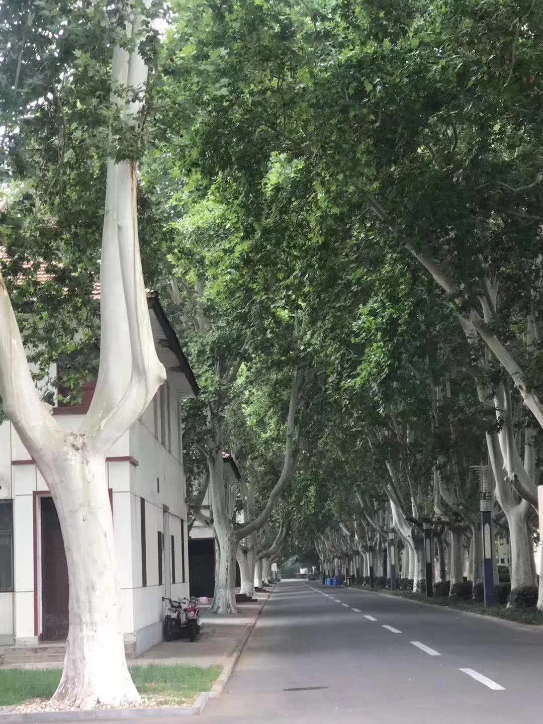 八一建军节向军人们致敬人民网,八一建军节致敬永不褪色的军魂