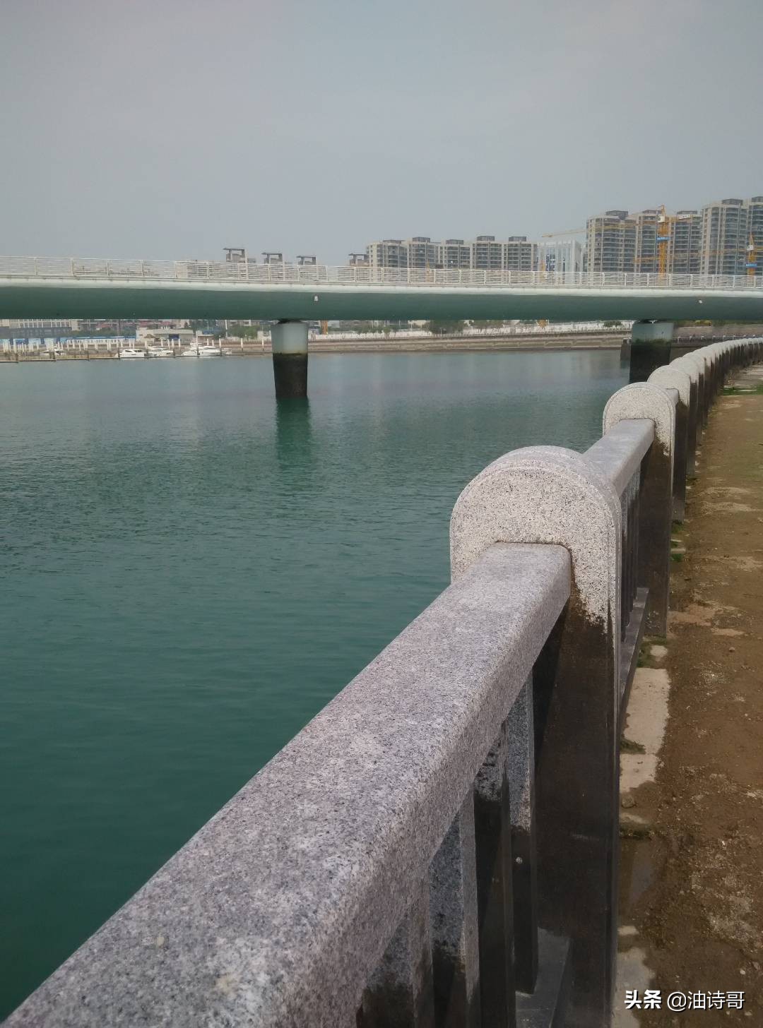 缘起五缘湾,那个爱钓鱼的懵懂少年