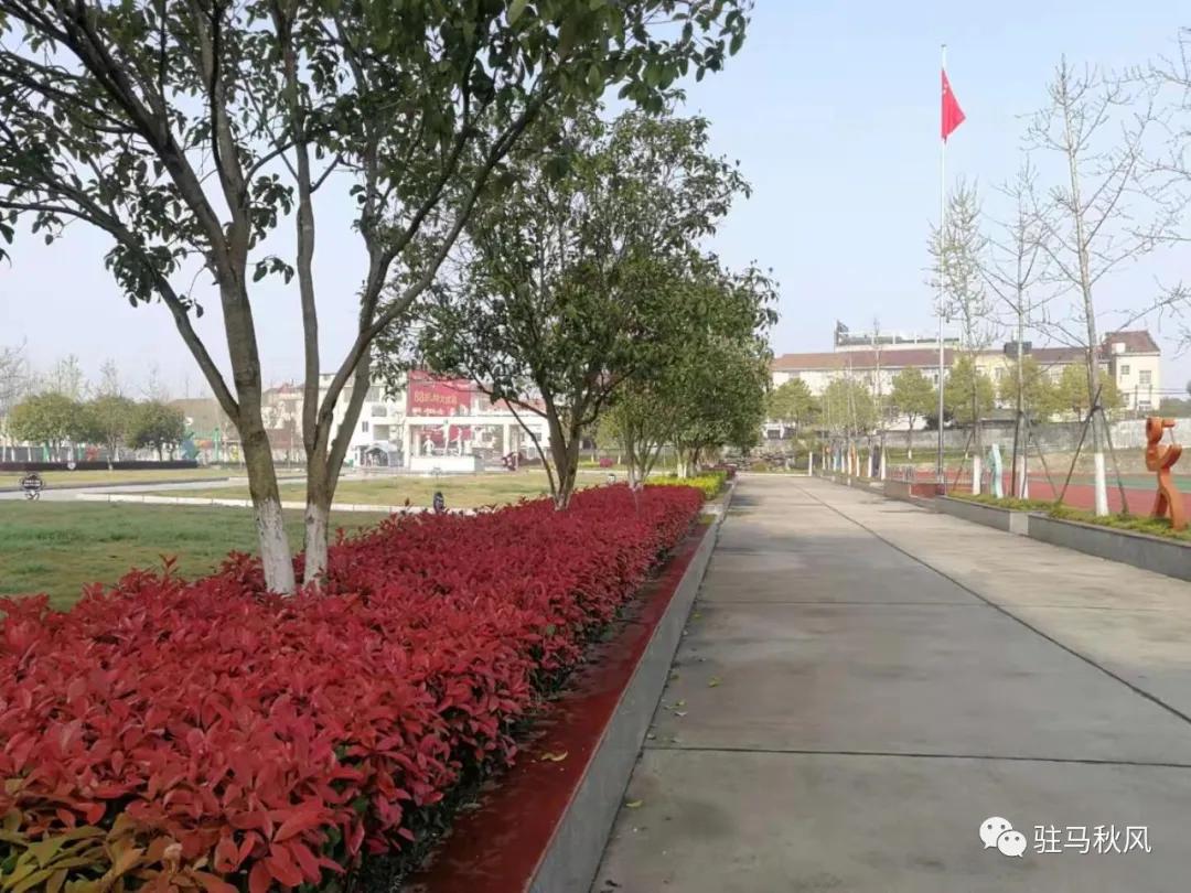 黄梅县六小学校六一,黄梅六小怎么样