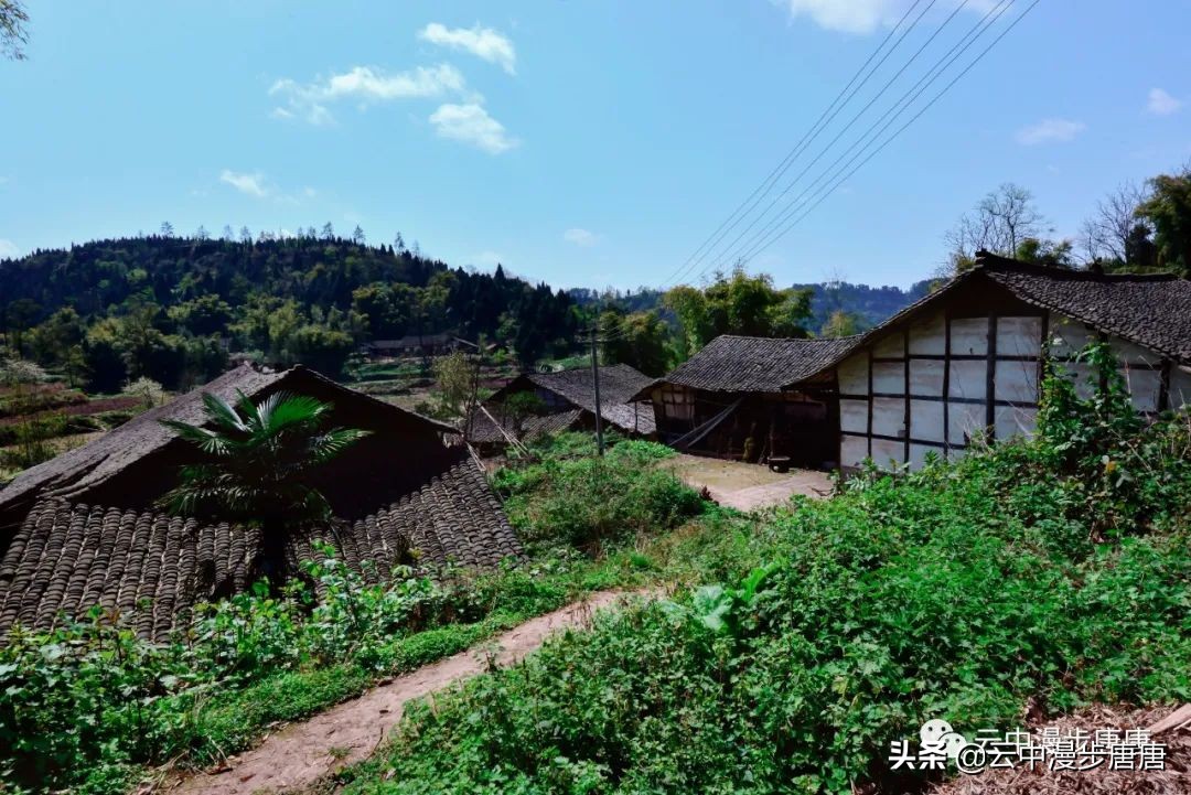 四川岳池黄龙水库,岳池黄龙杨家沟水库