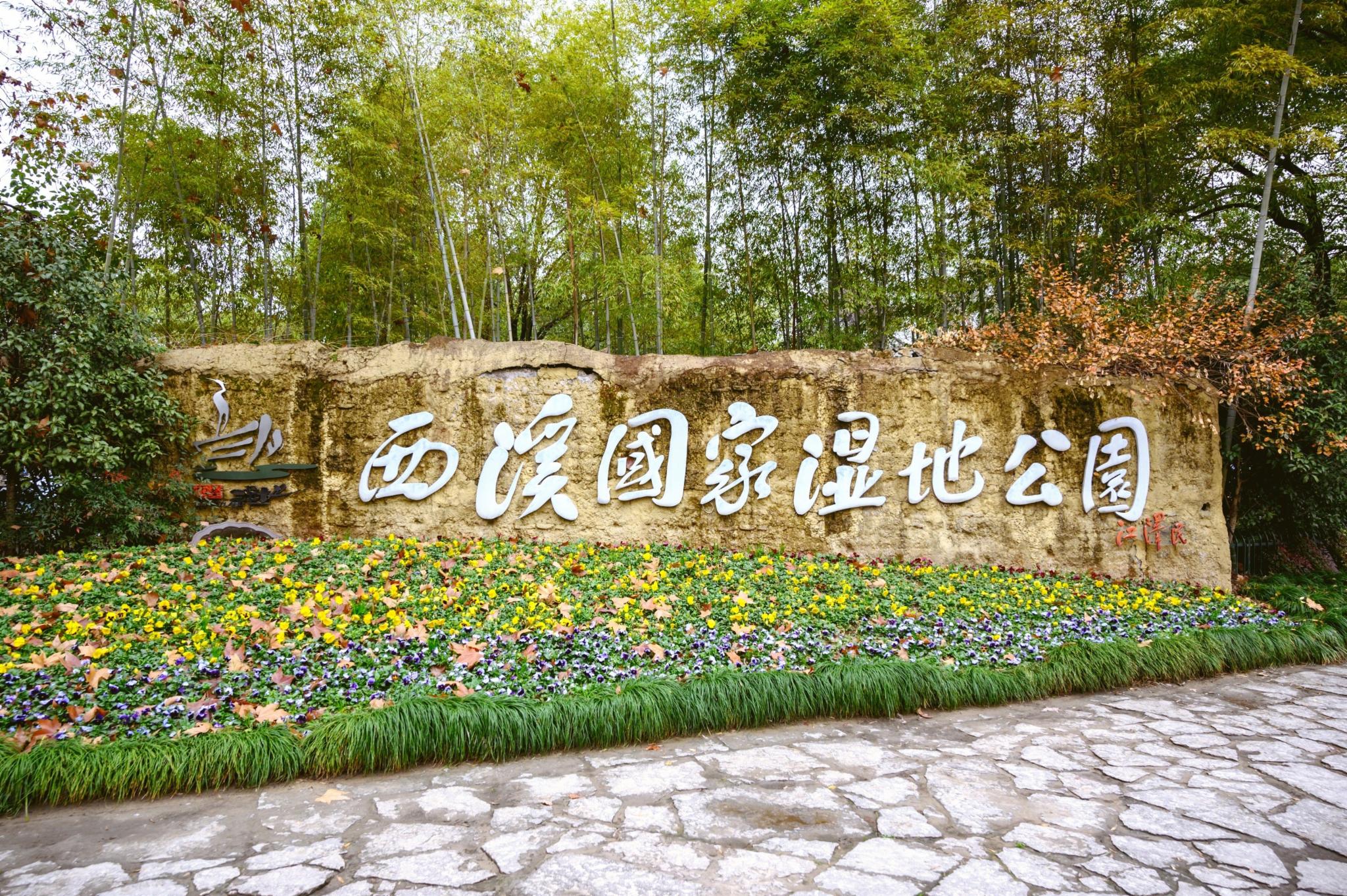 被誉为“杭州之肾”的西溪湿地值得去吗？网友：景色比西湖还美