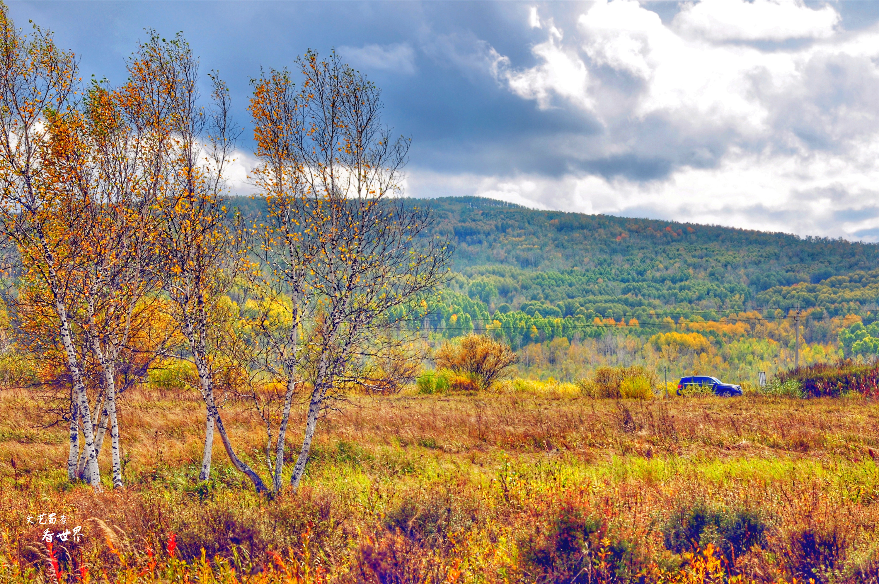 阿尔山的冬天就是童话世界,如果你第一次来到草原会感叹什么