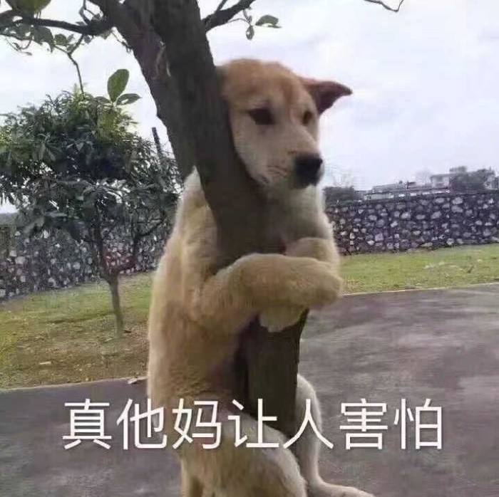 结膜炎流眼泪用眼药水没用怎么办,结膜炎眼睛流眼泪严重用什么药水