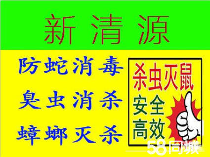 阜阳专用灭鼠灭蟑螂杀白蚁哪家好,专业除虫灭鼠灭白蚁灭蟑螂