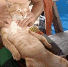 高考期间焦虑失眠怎么解决,高考紧张失眠怎么治