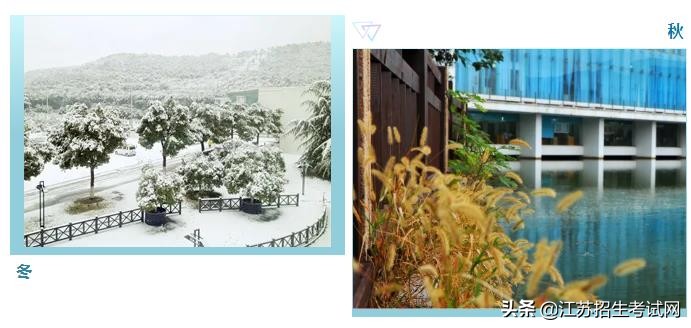 你可能还不知道，苏大文正有多好