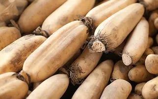 鼻干喉痒、咳嗽、头皮屑多...照着吃,整个秋冬不干不燥不生病