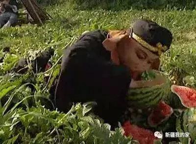 一室一厅租房500元乌鲁木齐,在乌鲁木齐租房40平方