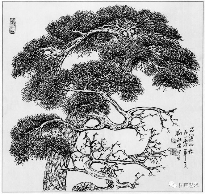日式线描松树波浪纹,深度线描儿童画松树