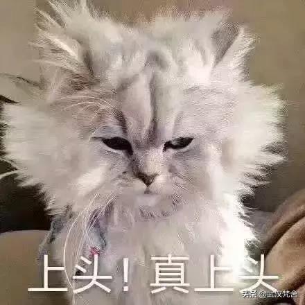 社保卡电子密码和卡密码不一样,社保卡有两个密码现在知道还不晚