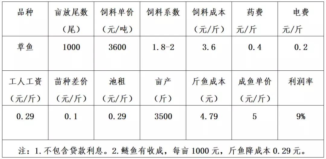 养鱼基本常识及效益,生态养鱼如何赚钱快些呢