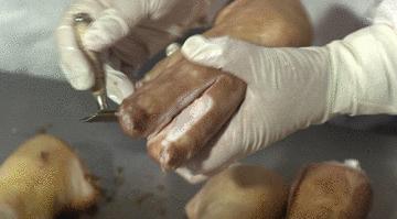 哈尔滨美食小店被南方人攻占,哈尔滨被南方人攻占的美食