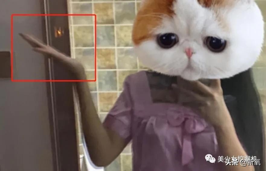 比小团团还火的女主播乔碧萝,斗鱼一姐小团团视频