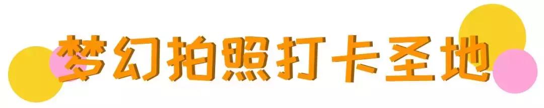 深圳迪士尼乐园免费,深圳迪士尼乐园门票价格是多少