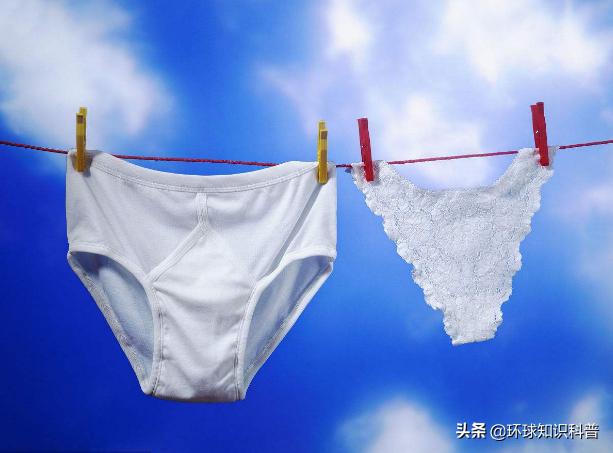 奇闻趣事奇葩事件,世界上鲜为人知的奇闻怪事小知识