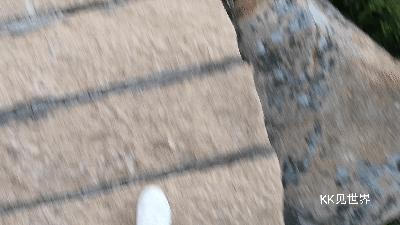 珠海淇澳岛雨天露营攻略,东澳岛沙滩露营推荐