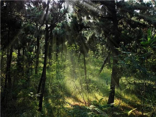 30万在威海买的房子,30万首付在威海买的房子