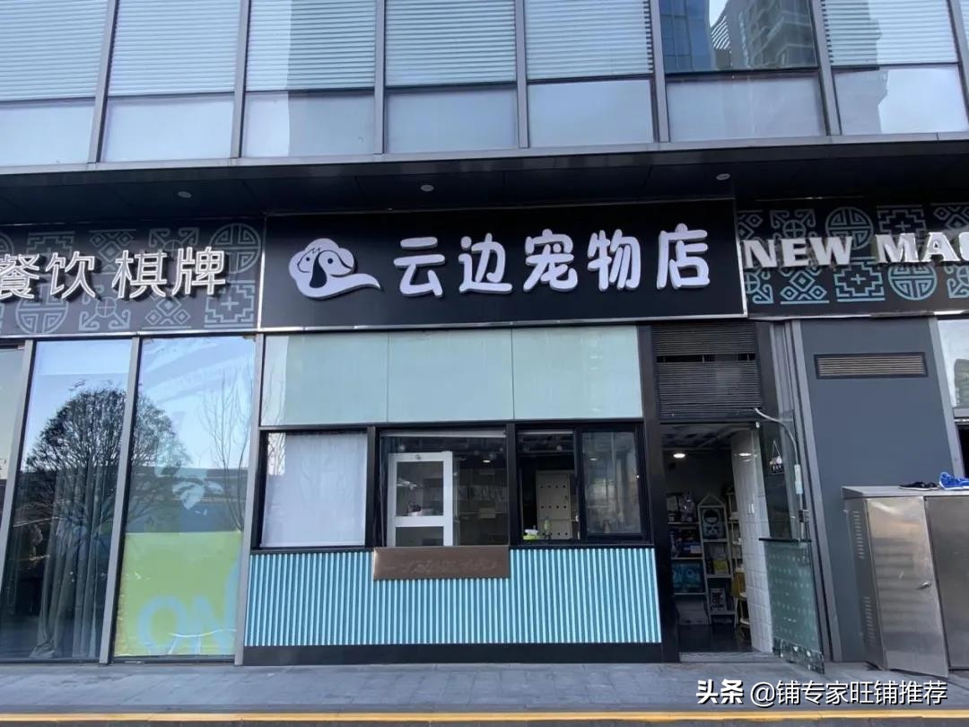 宠物店创业加盟,宠物店一站式前景
