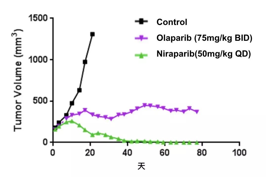 科学家找到癌细胞的生死开关,科学家找到了癌症的开关