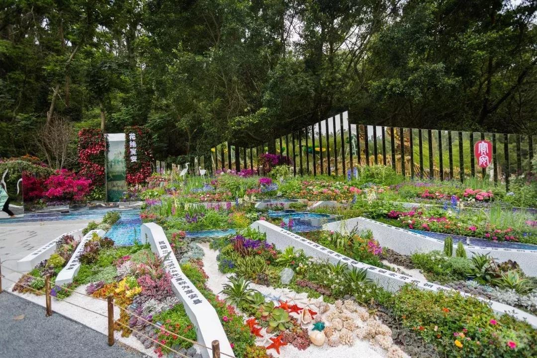 未来10天预警，深圳最最最最火的地方在这里，美女都赶来打卡