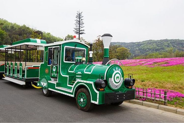 新春打卡重庆香水百合网红艺术节,坐小火车、玩玻璃滑道...