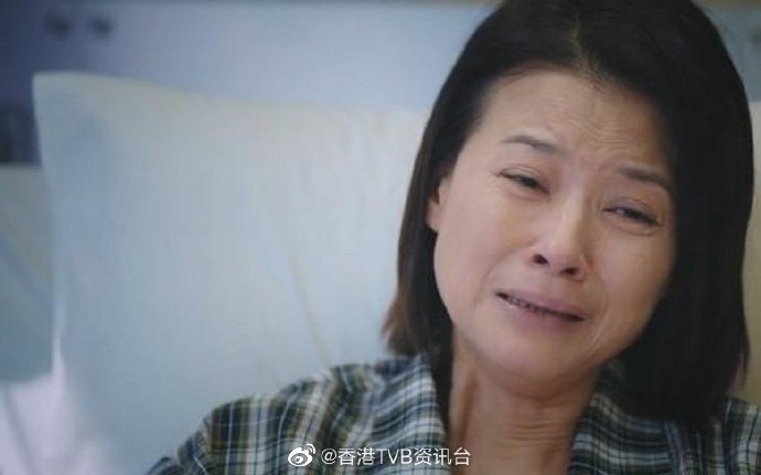 法证先锋4最漂亮的女配,法证先锋4四个女主角
