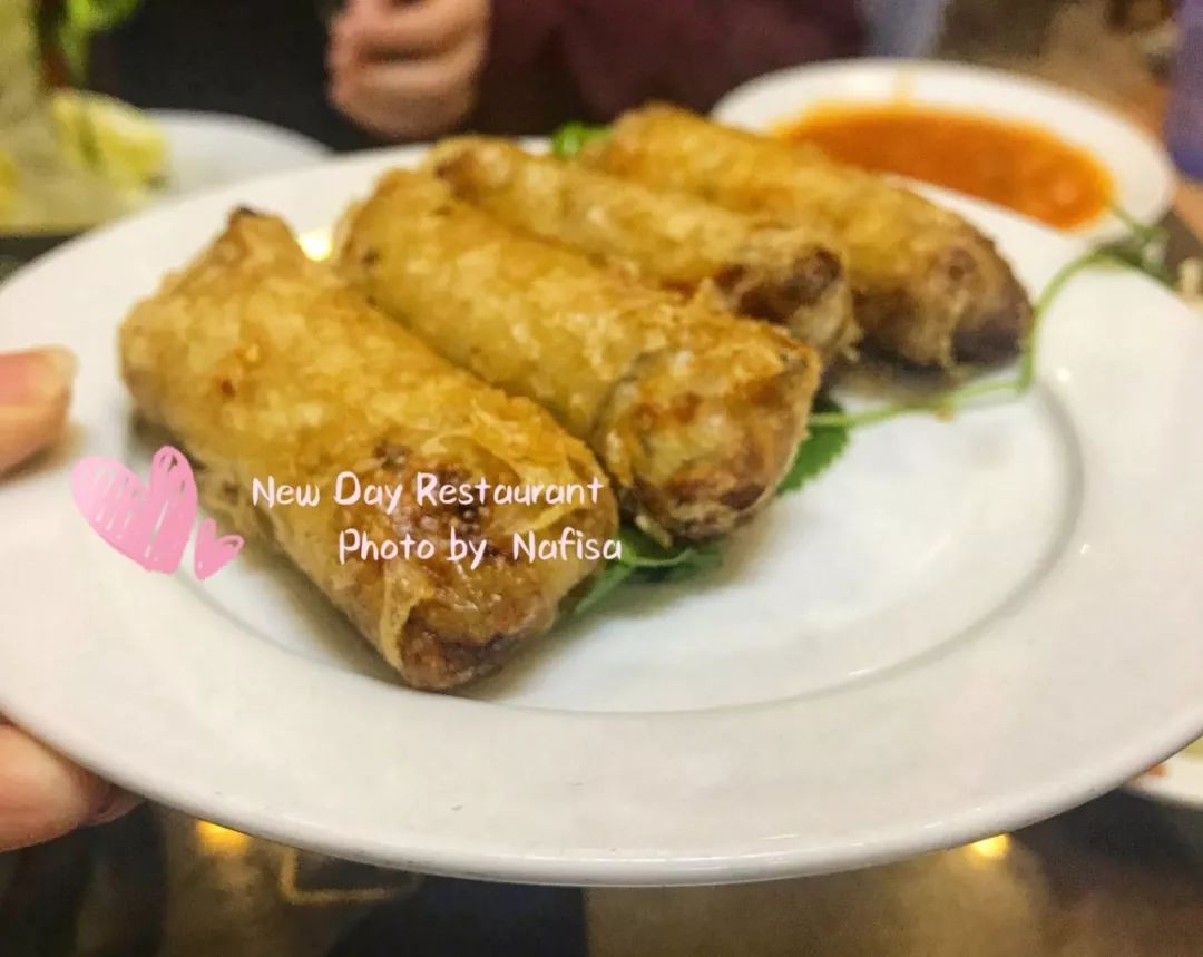 越南旅行攻略8篇文章,越南十天旅游注意什么